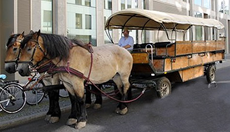 beer carriage stag do