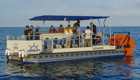 beer pedal boat stag do