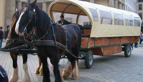 beer coach stag do