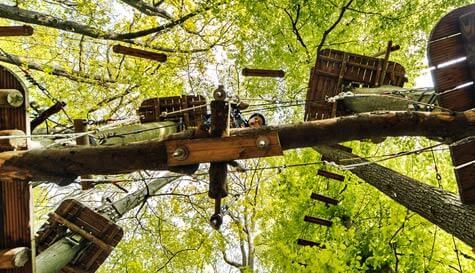 high ropes course stag do