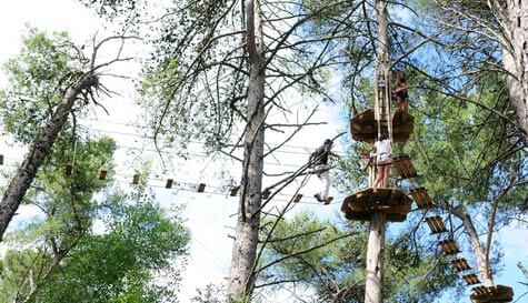 high ropes course