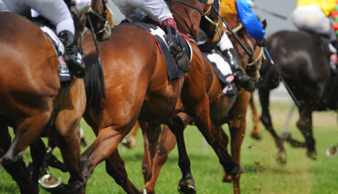 horse racing stag do