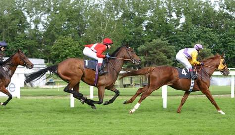 horse racing stag do