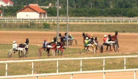 horse racing stag do