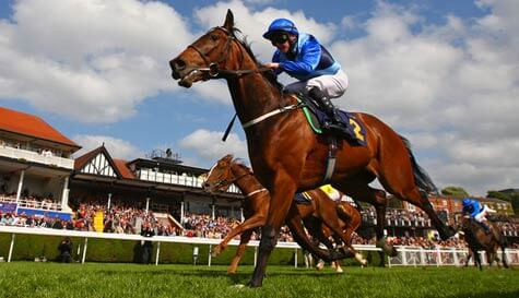 horse racing stag do