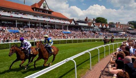 horse racing stag do