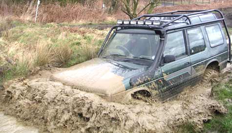 reverse steer driving stag do