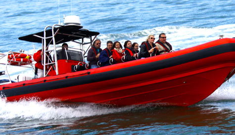 thrill seeking boat trip