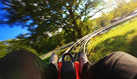 tobogganing stag do