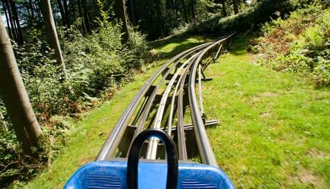 tobogganing stag do