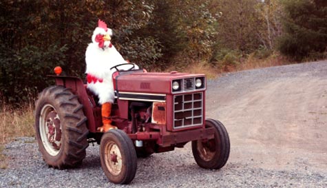 tractor driving stag do