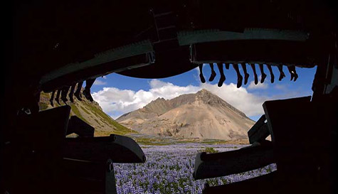 virtual iceland flyover stag do