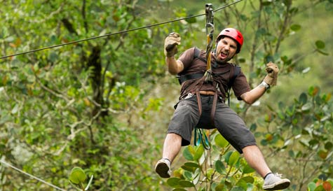 zip wire stag do