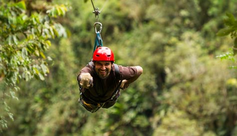 zip wire stag do