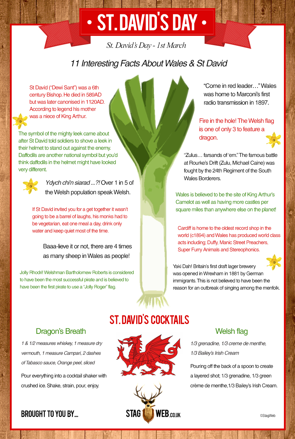 St. Davids's Day Infographic StagWeb