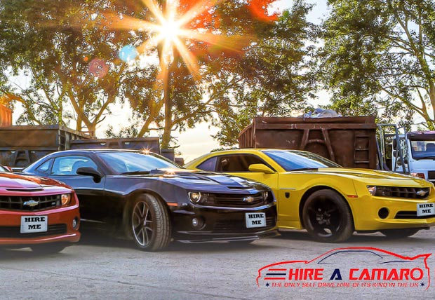 hire a camaro