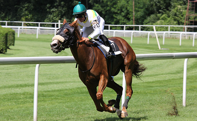 horse racing