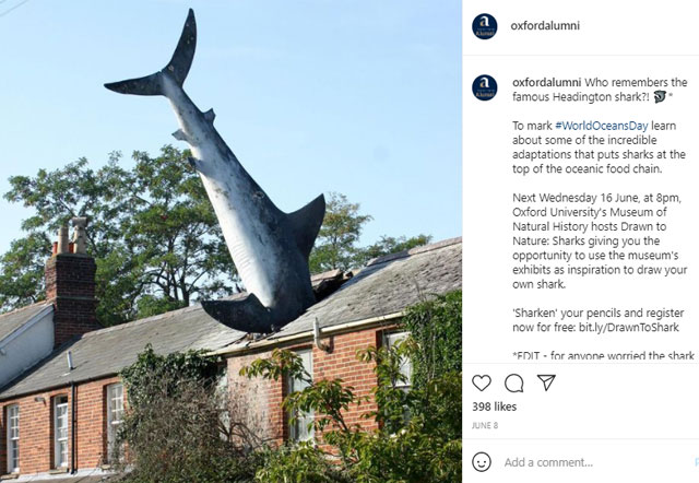 Headington Shark Oxford