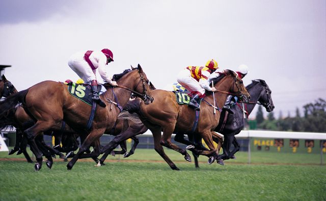 A day at the races