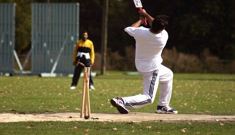cricket (playing)