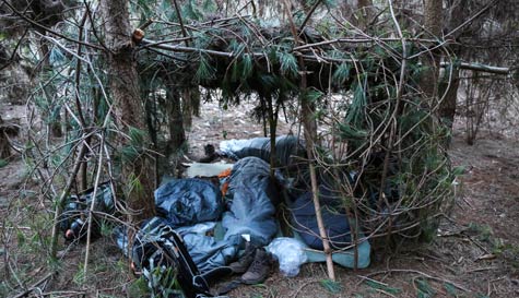 Bear Grylls Survival Academy - Wild Camp